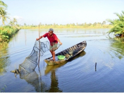 Eco-shrimp farming – model for sustainable aquaculture development