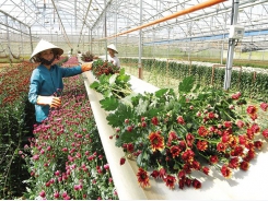 Vietnam aims to facilitate agriculture investment
