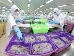 Seafood exports likely to fall short of 10-billion USD target