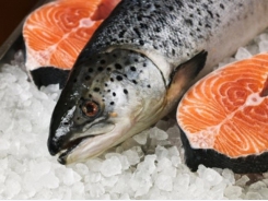 Sharp rise in imports of seafood