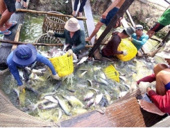 Agro-forestry-fishery exports hit 22.2 billion USD in first seven months