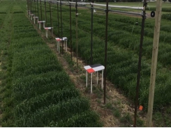 Do-it-yourself crop imaging system developed