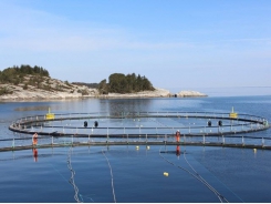 Netting more profit from aquaculture by-products: who wins?