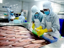 Pangasius exports to Southeast Asia up 14.6 per cent