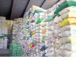 Vietnam wins bid to supply rice to the Philippines