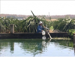 Farmers dig ponds, build small reservoirs to store water