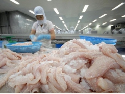 Trade promotion helps boost pangasius consumption