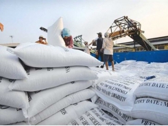 Vietnam enjoys sharp increase in export of rice and medical masks