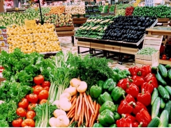 Businesses encouraged to export organic farm products to North Europe