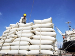 Imports of Indian rice surge, Ministry sets up inspection team