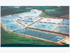 Kỹ thuật nuôi tôm sú công nghiệp của Úc - Phần 1