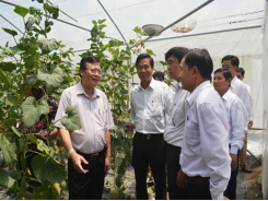 Bright spot on hi-tech agriculture