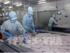 Tra fish firms report sharp rises in second quarter earnings