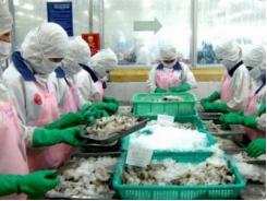 Thay đổi kiểm soát dư lượng kháng sinh thủy sản xuất khẩu Nhật Bản