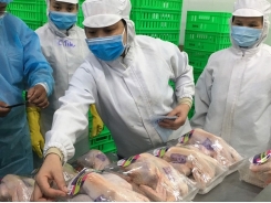 Ho Chi Minh city retail outlets sell traceable chicken meat, eggs