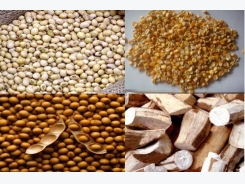 Animal feed, corn imports from Argentina account for large share