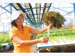 Thirty agricultural projects enter final round