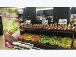 Vietnamese Dragon Fruit Day held in Australia