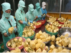 Fruit and vegetable exports expected to hit US$4 billion