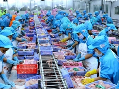 Seafood exports pick up but challenges continue