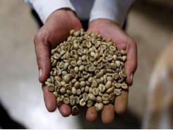 How Brazil and Vietnam are tightening their grip on the world's coffee