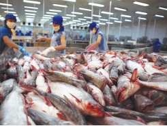 Tons of seafood get stuck in border due to China’s tight control