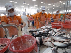 Whether or not 15 Vietnamese seafood companies are banned to sell to China