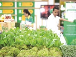 Vietnam’s vegetables, fruits ready to enter choosy markets