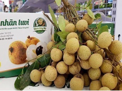 Fresh Vietnamese longan on sale in Australian market