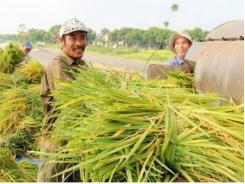 Bội thu nhờ ứng dụng tiến bộ khoa học kỹ thuật