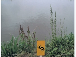 Small scale fish farming