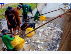 Vietnam promotes aquaculture, fishery at Algeria’s int’l fair