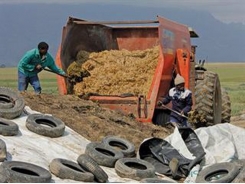 Grass Silage: what you put in is what you get out