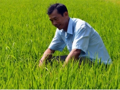 Farmer reaches success thanks to applying technology