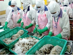 Aquatic exports set to reach US$8.3 billion amid signs of recovery