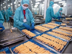 Removing difficulties for the shrimp industry with the peak of exports at the end