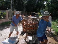 Vụ người nuôi cá bị nợ trăm tỷ nông dân nhờ xã hội đen đòi nợ