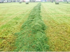 Cutting silage? Here’s how to make the neighbours jealous with your quality silage