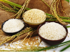 Vietnam rice brand logo will be announced in December