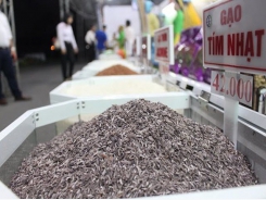 Vietnamese rice yet to be exported under national brand