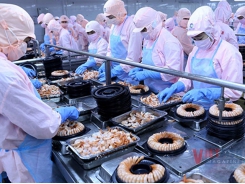 Vietnam’s shrimp sales grow steadily in Taiwan