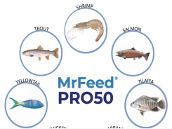 Alternative feed component maker touts shrimp-disease fighting properties