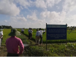 Crop rotation and organic fertilizer resulted in higher income for the farmers