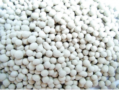 Sử dụng Zeolite trong ao tôm