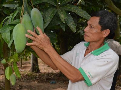 Nông nghiệp miền Tây: Sống chung với biến đổi khí hậu