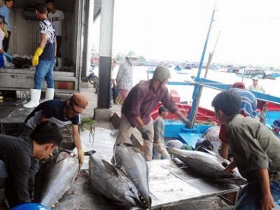 Bội thu chuyến biển cuối năm