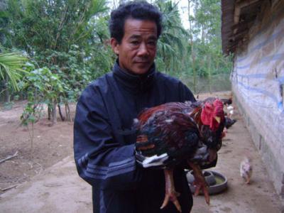 Săn gà 