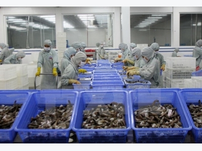 VASEP forecast upbeat shrimp export growth for 2018