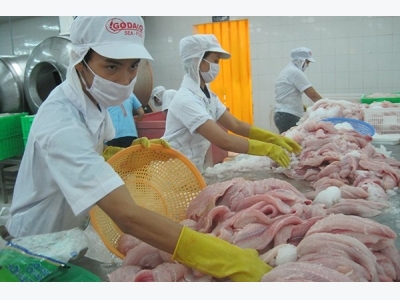 China emerges as biggest buyer of Vietnam tra fish in 2017