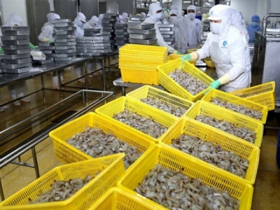 VNs shrimp industry will become key economic sector